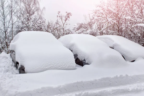 Şiddetli kar yağışı. Arabalar yoğun kış karıyla kaplıydı..