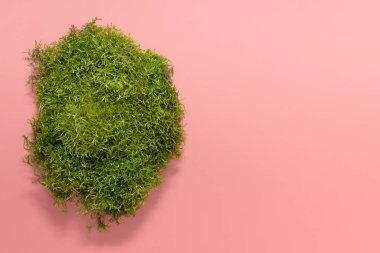Pembe kağıtta yeşil orman yosunları. Boş alanı kopyalayan fotoğraf.
