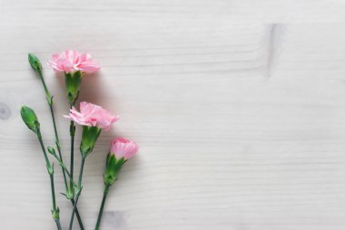 Üç pembe çiçekli basit bir arkaplan ve saydam kağıtla kaplı ahşap zemin üzerinde boş bir alan..