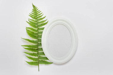 Dikey oval çerçeveli maket şablonu ve beyaz arkaplanda yeşil eğreltiotu yaprağı.