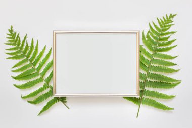 Yatay A4 gümüş çerçeve, beyaz arkaplanda iki yeşil eğreltiotu yaprağı var..