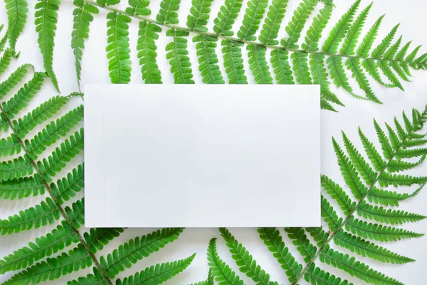 背景に緑のシダの葉を持つ水平ブランクカードとモックアップテンプレート — ストック写真
