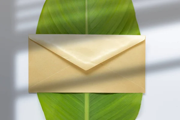 Komposition Mit Goldenem Umschlag Und Grünem Blatt Mit Fensterschattenüberlagerung — Stockfoto