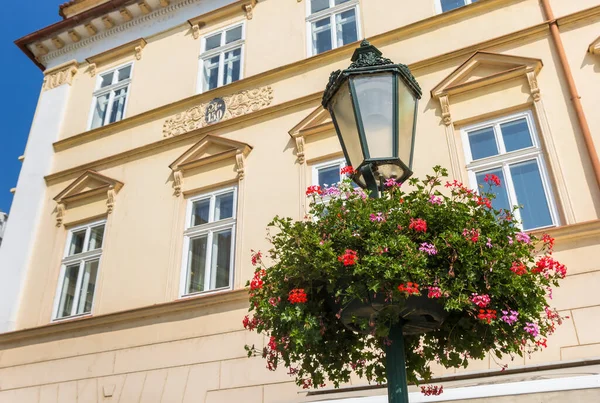 Réverbère Avec Des Fleurs Colorées Litomerice République Tchèque — Photo