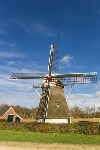 Molino Viento Histórico Reserva Natural Oudemolen Países Bajos — Foto de Stock