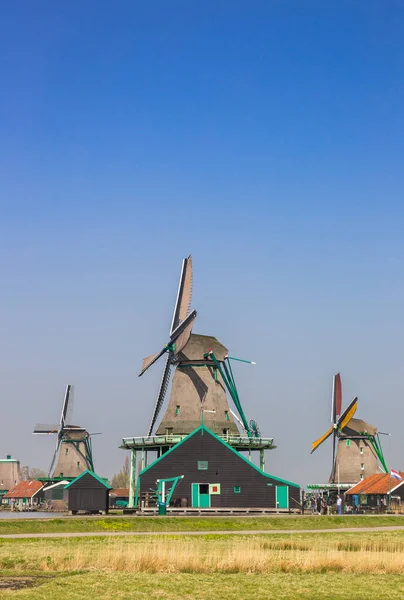 Wiatraki Zabytkowej Wioski Zaanse Schans Holandia — Zdjęcie stockowe