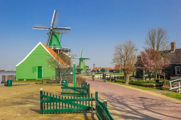 Historische Huizen Molens Van Zaanse Schans Nederland — Stockfoto