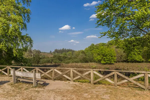 Bench Het Uitkijkpunt Lemelerberg Overijssel Nederland — Stockfoto