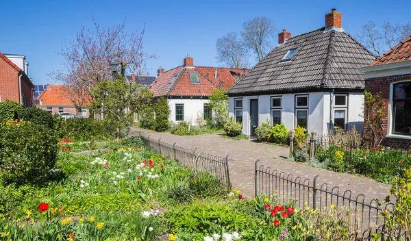 Street Old Houses Colorful Gardens Zuidhorn Netherlands — Stock Photo, Image