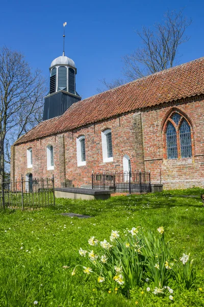 Flores Primavera Frente Iglesia Fransum Países Bajos —  Fotos de Stock