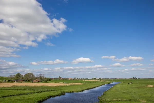 River along the dollard route in Ostfriesland — стокове фото