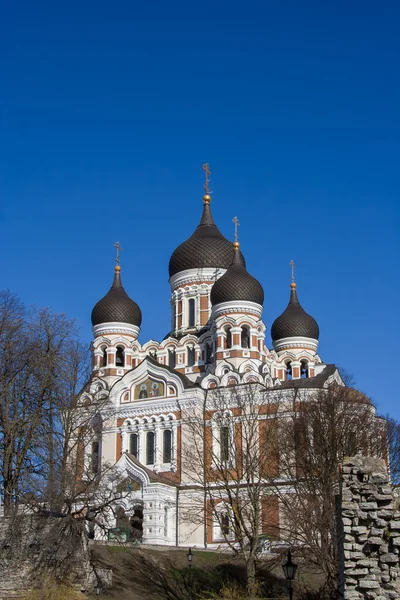 Aleksandr Nevsky russian orthodox cathedral in Tallinn — Stok fotoğraf