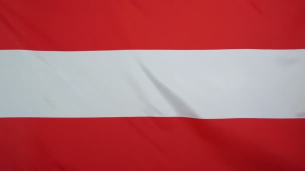 Austrian Flag real fabric Close up — Stock Video