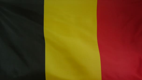 Bélgica Bandeira tecido real Close up — Vídeo de Stock