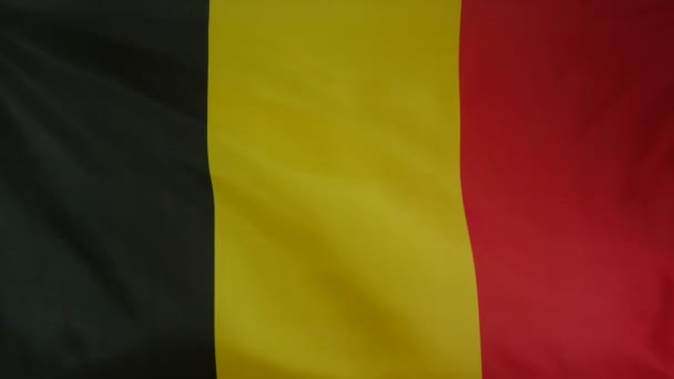 Belgium Flag real fabric Close up — Stock Video