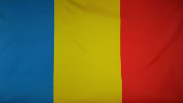 Bandera de Rumania tela real Close up — Vídeo de stock