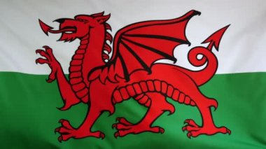 Galler bayrak gerçek kumaş yakın çekim