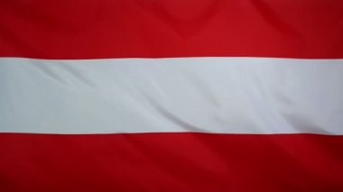 Slowmotion gerçek Tekstil Avusturya bayrağı