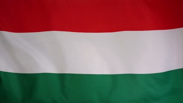 Slowmotion реальні текстильні Прапор Угорщини — стокове відео