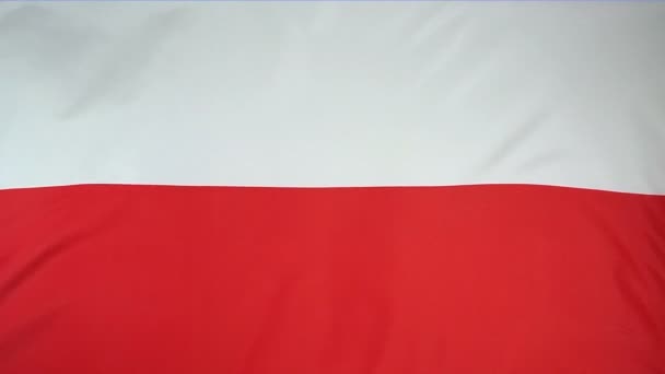 Slowmotion real textile Flag of Poland — Stock Video