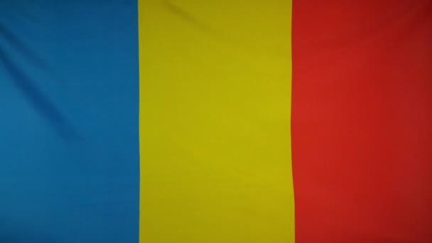 Slowmotion real textil Bandera de Rumania — Vídeos de Stock