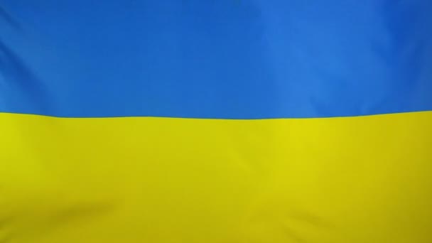 Slowmotion real textile Flag of Ukraine — Stock Video