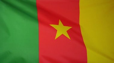 Slowmotion gerçek Tekstil Kamerun bayrağı