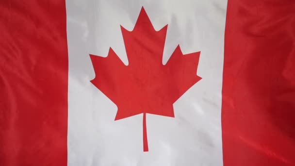 Slowmotion gerçek Tekstil Kanada bayrağı — Stok video