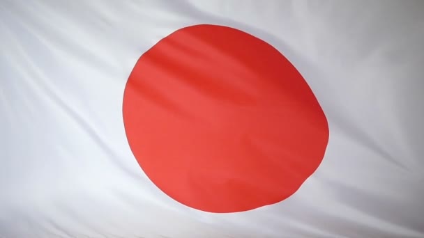 Tikje echte textiel vlag van Japan — Stockvideo