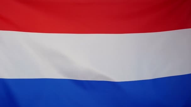 Slowmotion реальні текстильні Прапор Нідерландів — стокове відео