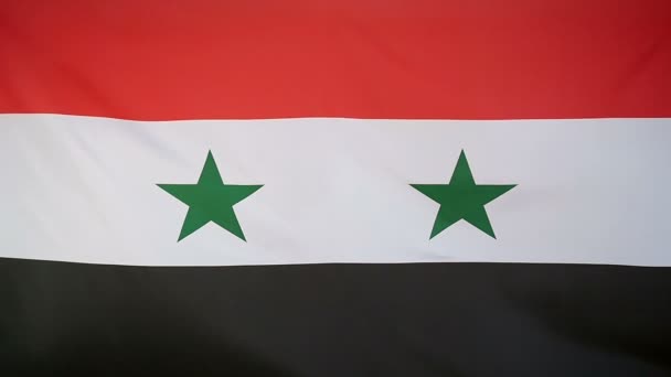 Zeitlupe echte Textilfahne von Syrien — Stockvideo