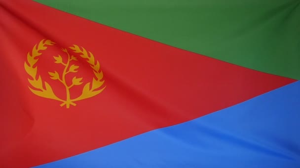 Slowmotion real textile Flag of Eritrea — Stock Video