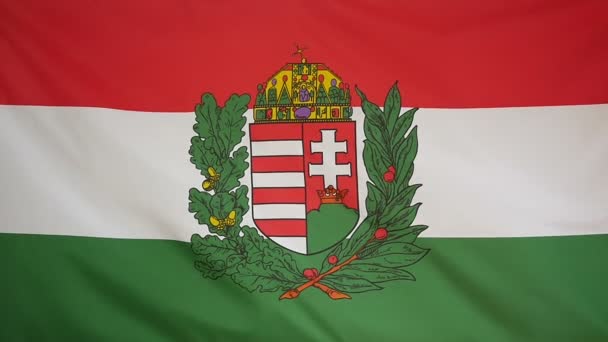 Slowmotion riktiga textil flagga i Ungern vapen — Stockvideo