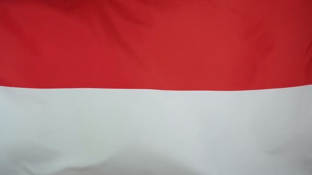 Slowmotion real textil Bandera de Indonesia — Vídeos de Stock