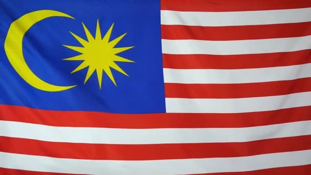 Tikje echte textiel vlag van Maleisië — Stockvideo