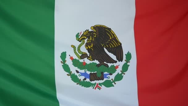 Slowmotion 실제 섬유 멕시코의 국기 — 비디오