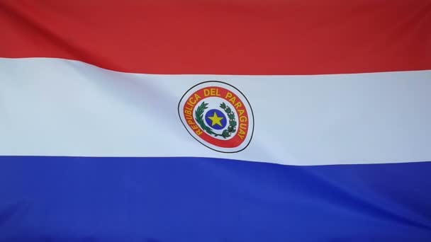 Slowmotion gerçek Tekstil Paraguay bayrak — Stok video