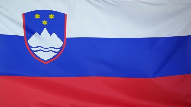 Slowmotion real textil Bandera de Eslovenia — Vídeo de stock