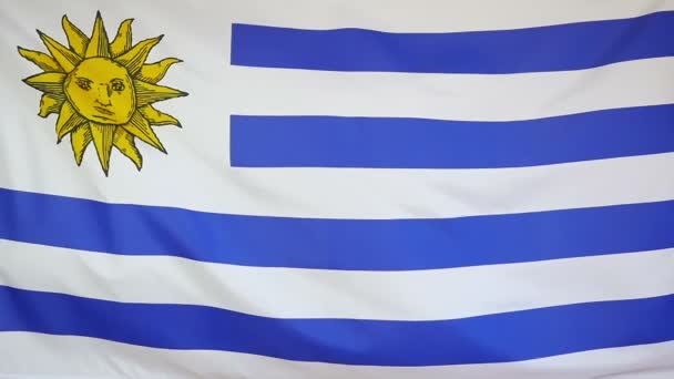 Slowmotion gerçek Tekstil Uruguay bayrağı — Stok video