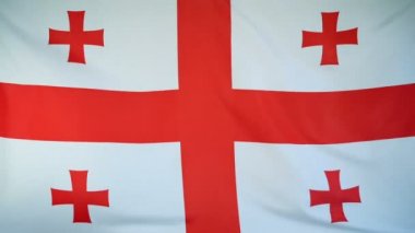 Georgia Flag gerçek kumaş yakın çekim