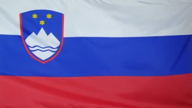 Slovenya bayrağı gerçek kumaş yakın çekim