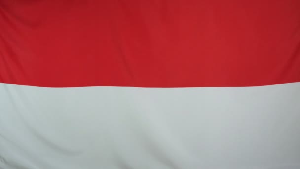 Vlag van Indonesië echte stof close-up — Stockvideo