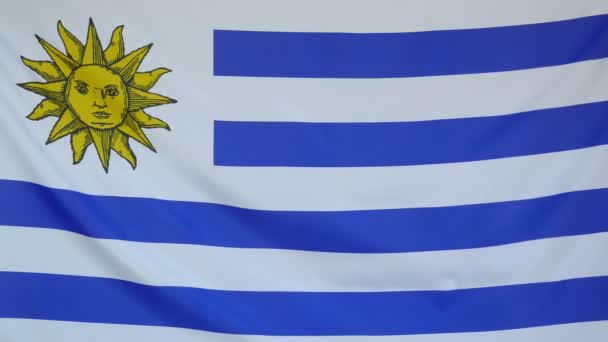 Uruguay Flag real fabric close up — Stock Video