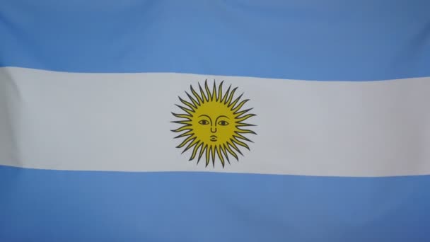 Argentine Drapeau tissu réel gros plan — Video