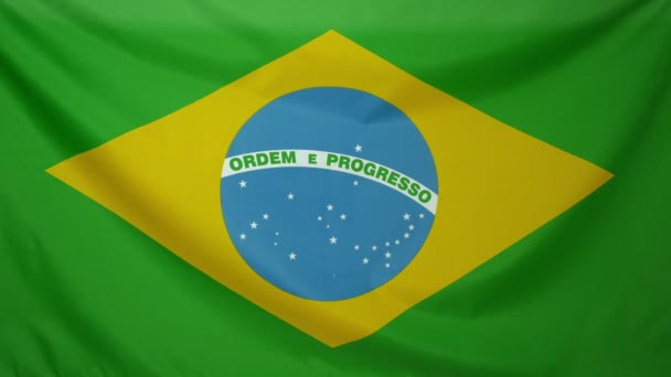 Brasil flagga verkliga tyg på nära håll — Stockvideo