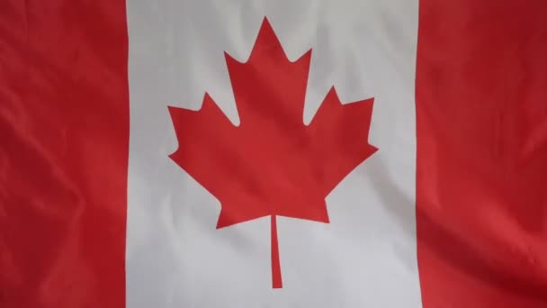 Kanada-Flagge aus echtem Stoff in Nahaufnahme — Stockvideo