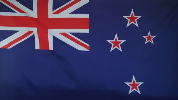 New Zealand Flag real fabric close up — Stock Video