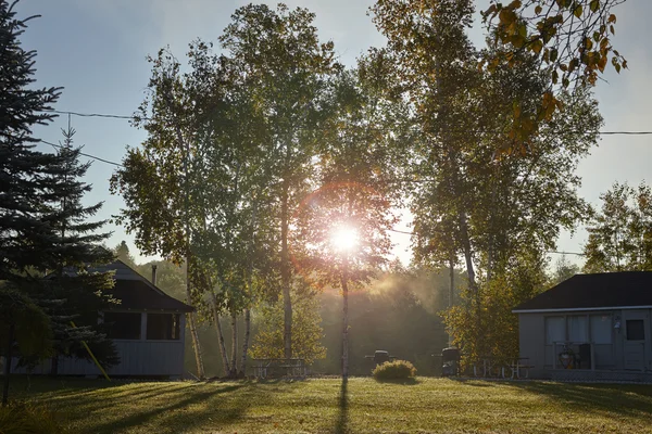 Aurinkoinen kanadalainen aamu — kuvapankkivalokuva