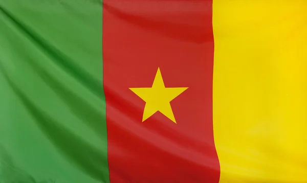 Kamerun bayrağı gerçek kumaş — Stok fotoğraf