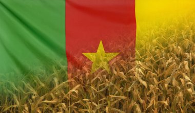 Kamerun beslenme kavramı Mısır alan kumaş bayrak ile